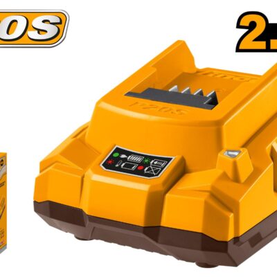 Cargador de batería P20S (2A)